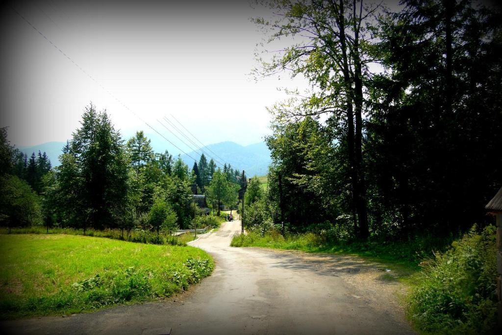 Willa Widokowa Zakopane Exterior photo
